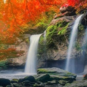 Meet your Posher, Ann